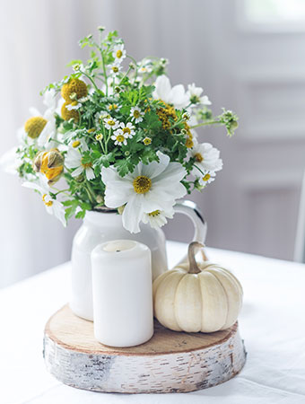 pie creek petals, gympie florist, blooms, flowers, pie creek flowers, bunch of flowers pie creek, bunch of flowers gympie, sunshine coast flowers, cheap flowers gympie, cheap flowers pie creek, southside flowers